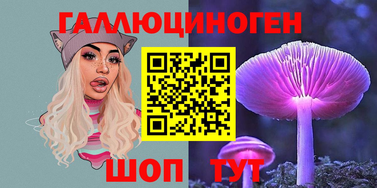 Галлюциногенные грибы Psilocybine cubensis Горячий Ключ